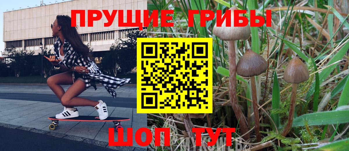 Советский  Псилоцибиновые грибы ЛСД  Вход с VPN  Галлюциногенные грибы MAGIC MUSHROOMS 
